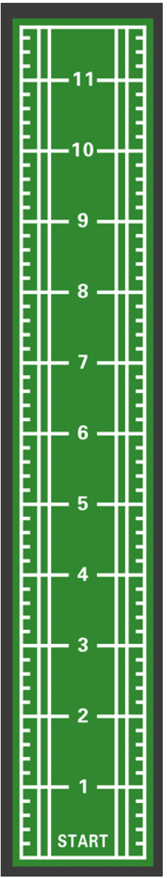 Powerful Gym Astro Turf –Green+ White | SZ 1003
