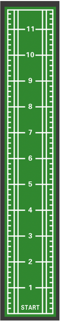 Powerful Gym Astro Turf –Green+ White | SZ 1003