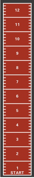 Powerful Gym Astro Turf – Terracotta + White | SZ 1004