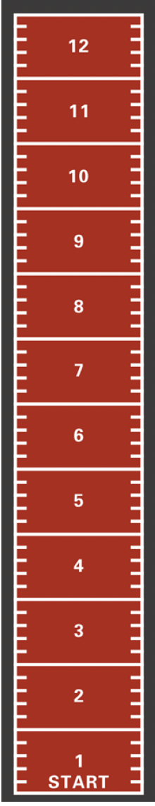 Powerful Gym Astro Turf – Terracotta + White | SZ 1004
