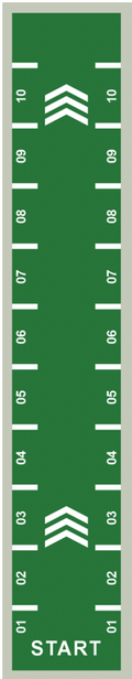 Powerful Gym Astro Turf – Green + White | SZ 1010