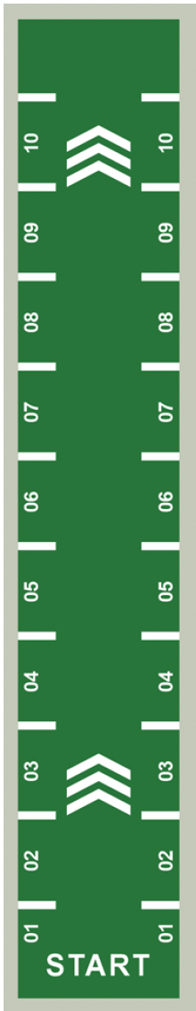 Powerful Gym Astro Turf – Green + White | SZ 1010
